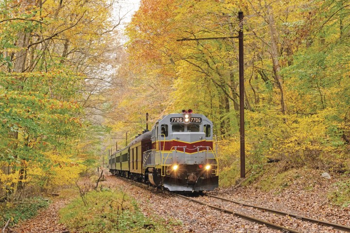 Train travels through autumn forest with colorful foliage.